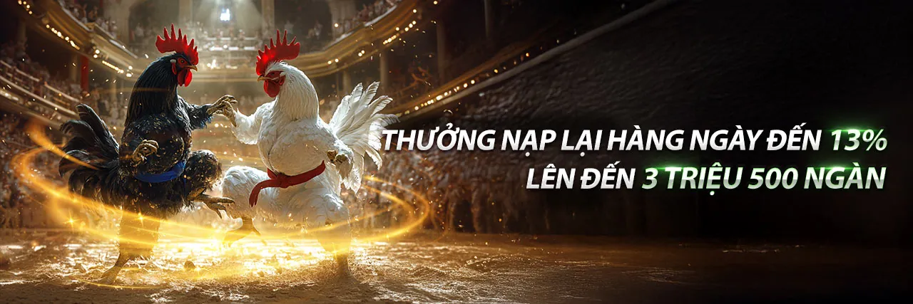 Hình ảnh tổng quan về SB365 nhà cái